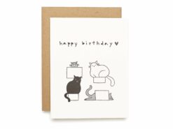 Birthday Cats in Containers