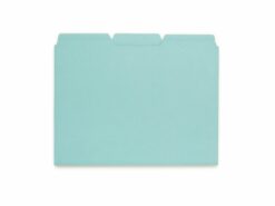 Document storage organizers