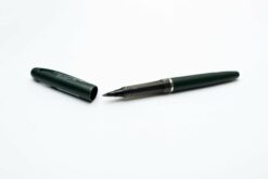 plastic fountain pen with flexible nib