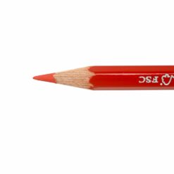 Dual Tip Writing Tool