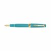 professional slim fountain pen medium fine