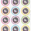 Roller Skating Birthday Favor Stickers Set