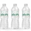 Evergreen Tree Water Bottle Labels Set