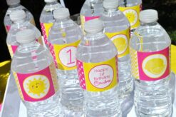 lemonade-and-sunshine-water-bottle-labels-birthday-party-drink-labels-you-are-my-sunshine-pink-lemonade-party-decorations-set-of-10