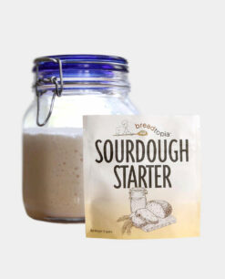 Bread Starter