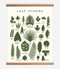 Nature Studies